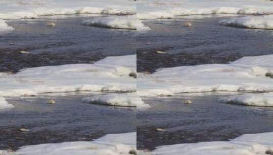 冰雪融化河流潺潺常规视频高清在线视频素材下载
