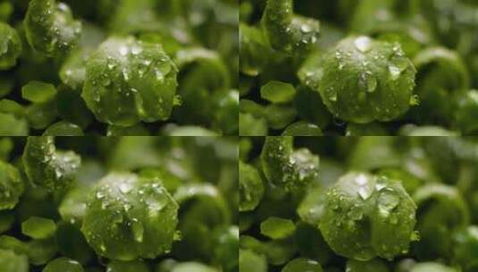 下雨 雨水 雨滴高清在线视频素材下载