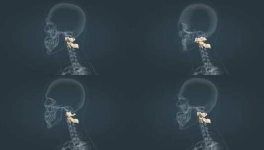 关节运动头部运动颈部前屈后伸医学三维动画高清在线视频素材下载