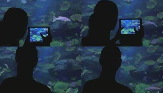 用平板电脑给鱼拍照高清在线视频素材下载