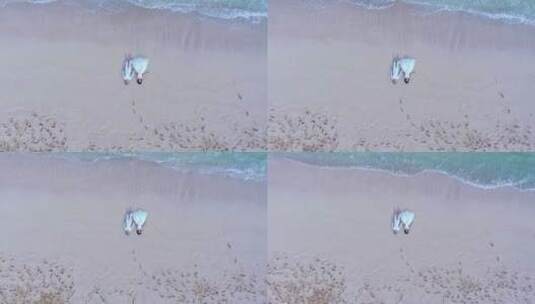 唯美海滩海浪情侣恋人航拍高清在线视频素材下载
