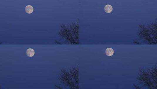 夜晚夜空深蓝色的空中挂着圆月高清在线视频素材下载
