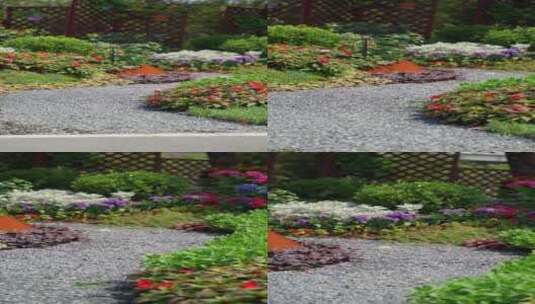 4K竖屏花园素材（无声）高清在线视频素材下载