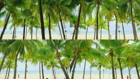 海南三亚 椰树沙滩 海边椰子树 海滩度假高清在线视频素材下载