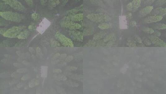 四川成都彭州中坝森林公园航拍阴天暮光之城高清在线视频素材下载