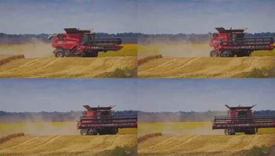 乡村振兴收割机在田里收割小麦高清在线视频素材下载