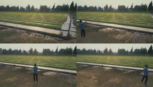 乡村振兴农业育秧农民拍摄秧田喷水灌溉高清在线视频素材下载