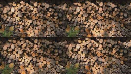 斑驳的树影打在码放整齐的柴火堆上高清在线视频素材下载