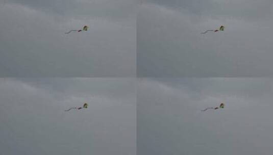风筝在天上飞16高清在线视频素材下载