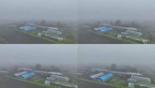 航拍晨雾中的乡村农家院高清在线视频素材下载
