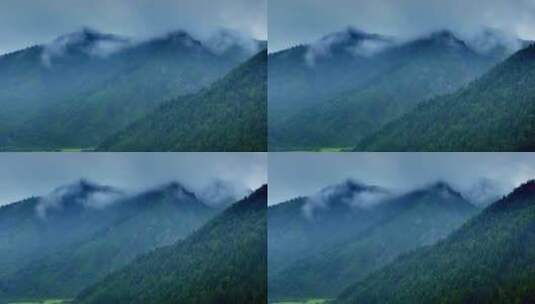山川云雾 高山 森林植被高清在线视频素材下载