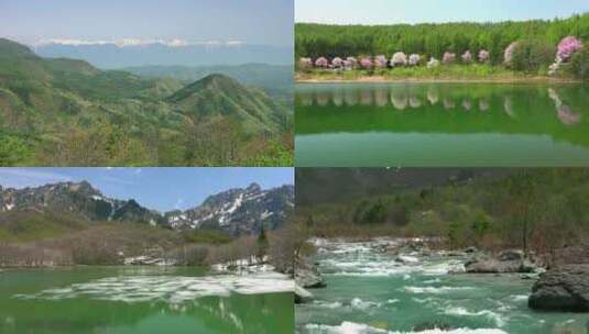 自然风光雪山松针河流溪水远山高清在线视频素材下载