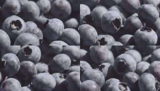 天然健康蓝莓水果高清在线视频素材下载