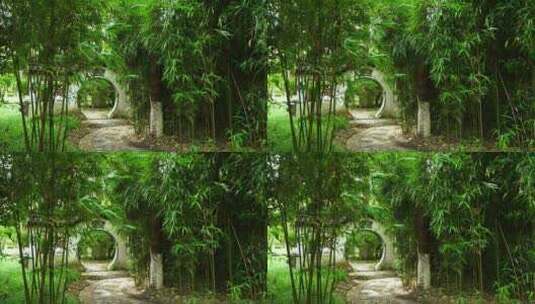 江南园林庭院竹林竹子光影的唯美古风空镜高清在线视频素材下载