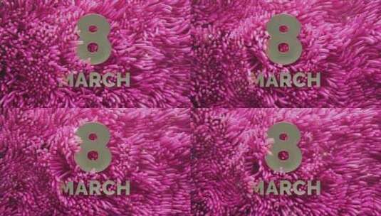 3月8日，粉红色海葵海藻用金色刻字摇摆的高清在线视频素材下载