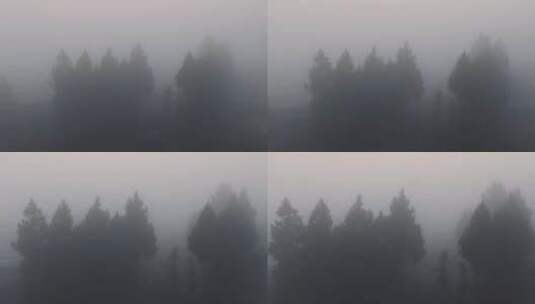 昏天暗地浓雾高清在线视频素材下载