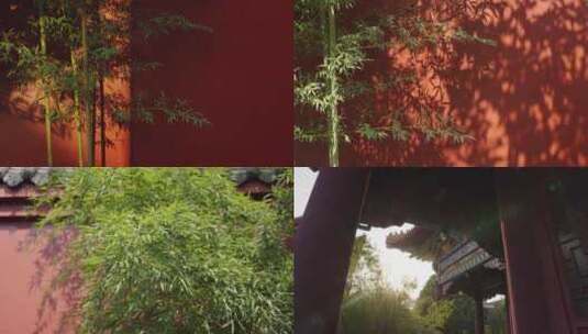 竹子红墙古建筑高清在线视频素材下载