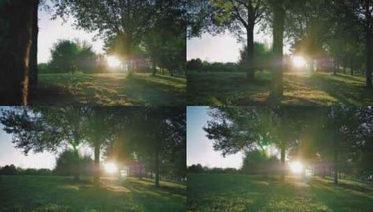 朝阳初生的小区园林高清在线视频素材下载
