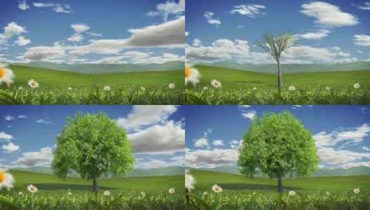 写实自然植物生长动画高清在线视频素材下载