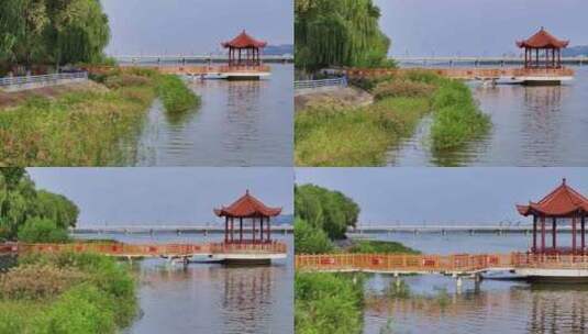 城市天际线楼房居住生态环境河流天空高清在线视频素材下载