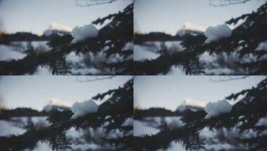 加拿大阿尔伯塔省，冬季，雪高清在线视频素材下载