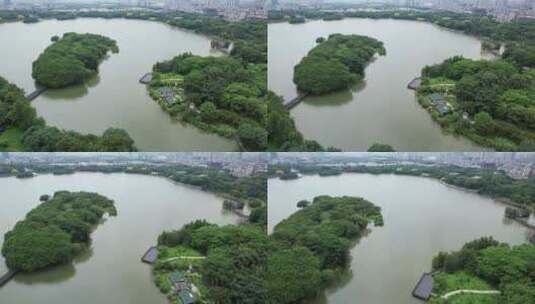 广州海珠湖湿地景观航拍高清在线视频素材下载