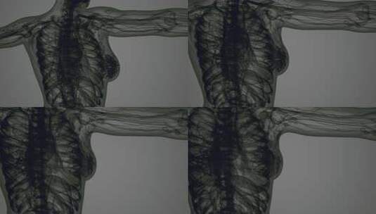 3D MRI女性身体扫描高清在线视频素材下载