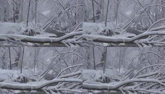 东北冬天长白山寒冷河流不冻河雾凇雪景高清在线视频素材下载