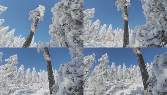 高清实拍冬天雪景雪山森林高清在线视频素材下载