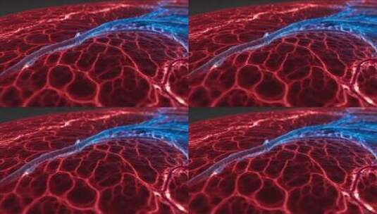 红蓝血管组织3D渲染医疗视频素材高清在线视频素材下载