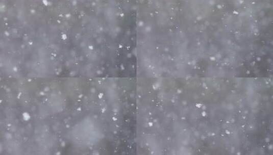 飘落的雪花自然景象雪天雪花飞舞下雪高清在线视频素材下载