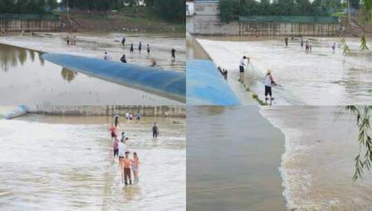 河道捕鱼 撒网 河流 抓鱼 捉鱼高清在线视频素材下载