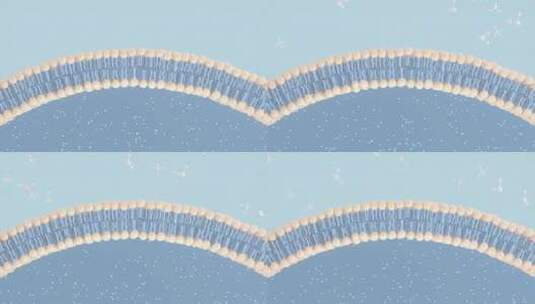 膜细胞和分子，3d渲染高清在线视频素材下载