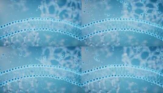 细胞膜吸收分子，3d渲染高清在线视频素材下载