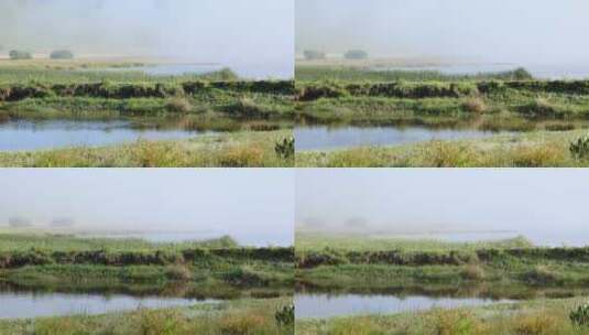 清晨湖面上的浓雾高清在线视频素材下载