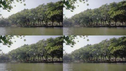 公园湖水绿水树木节假日游人高清在线视频素材下载