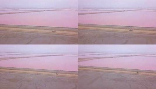 航拍越野车在粉色盐滩地区行驶高清在线视频素材下载