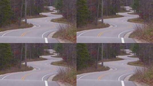 一条蜿蜒道路穿过森林高清在线视频素材下载