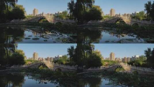 丰庆公园小桥18高清在线视频素材下载