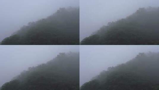 清晨森林鸟叫山雾高清在线视频素材下载