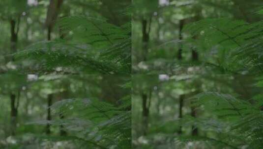 森林中木块砸向草丛地高清在线视频素材下载