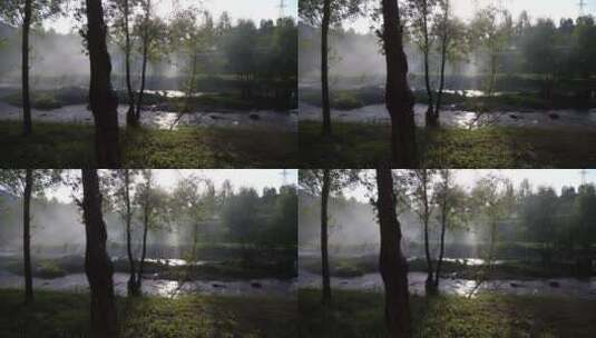 阳光穿过薄雾的森林高清在线视频素材下载
