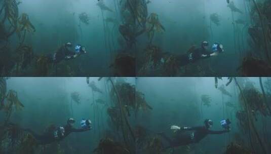 潜水员在海底浮潜高清在线视频素材下载