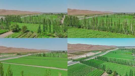 新疆吐鲁番库木塔格沙漠绿洲高清在线视频素材下载