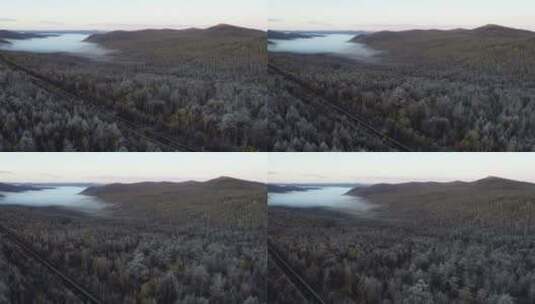 内蒙古大兴安岭秋季森林风光、初冬的霜高清在线视频素材下载