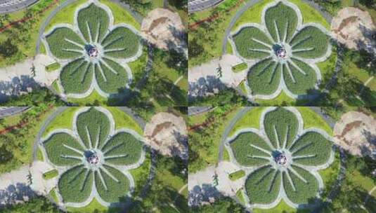 广州宏城公园花圃造型紫荆花高清在线视频素材下载