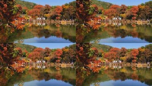 苏州天平山红枫秋景高清在线视频素材下载