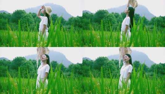 自然唯美青春女生在稻田感受自然风光视频高清在线视频素材下载