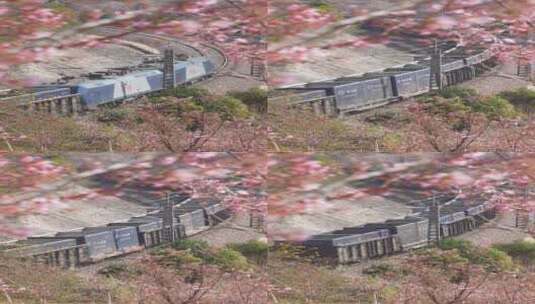 樱花树下的火车高清在线视频素材下载