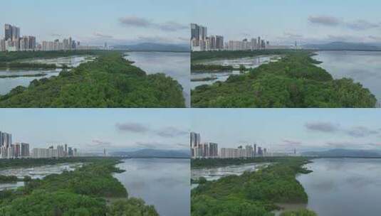 4K深圳福田红树林自然保护区航拍高清在线视频素材下载